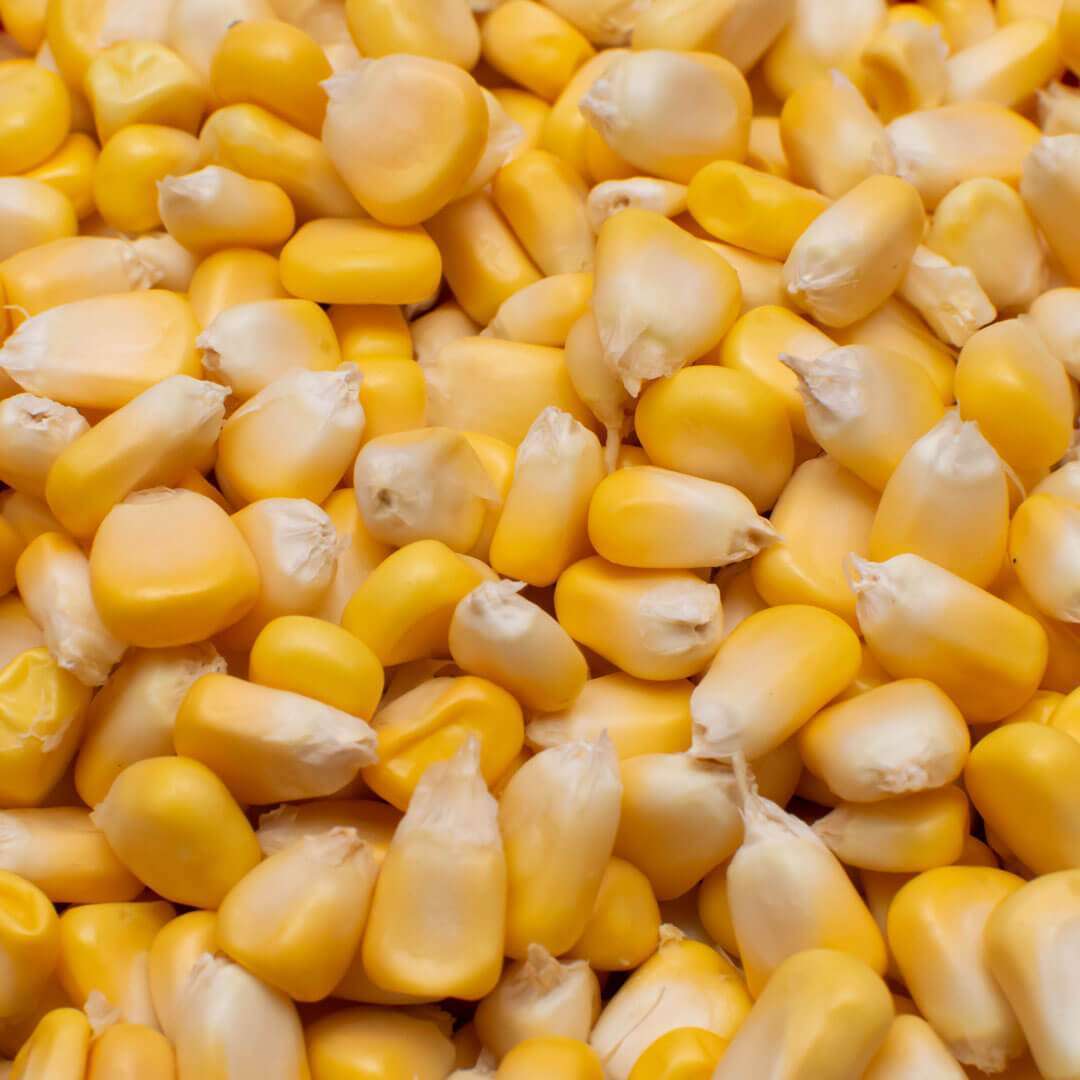 Maize-Processing