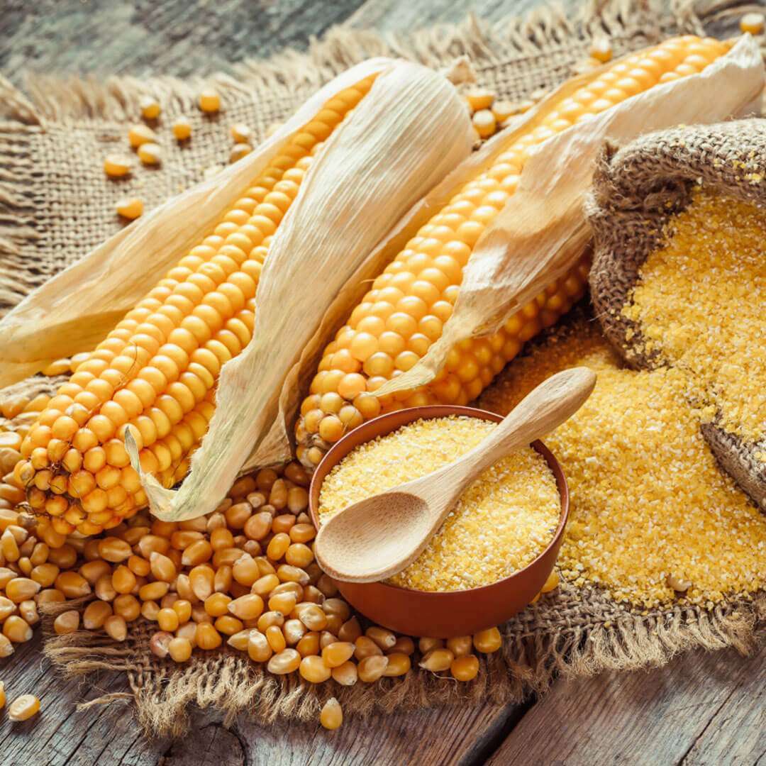 Maize-Processing Industry