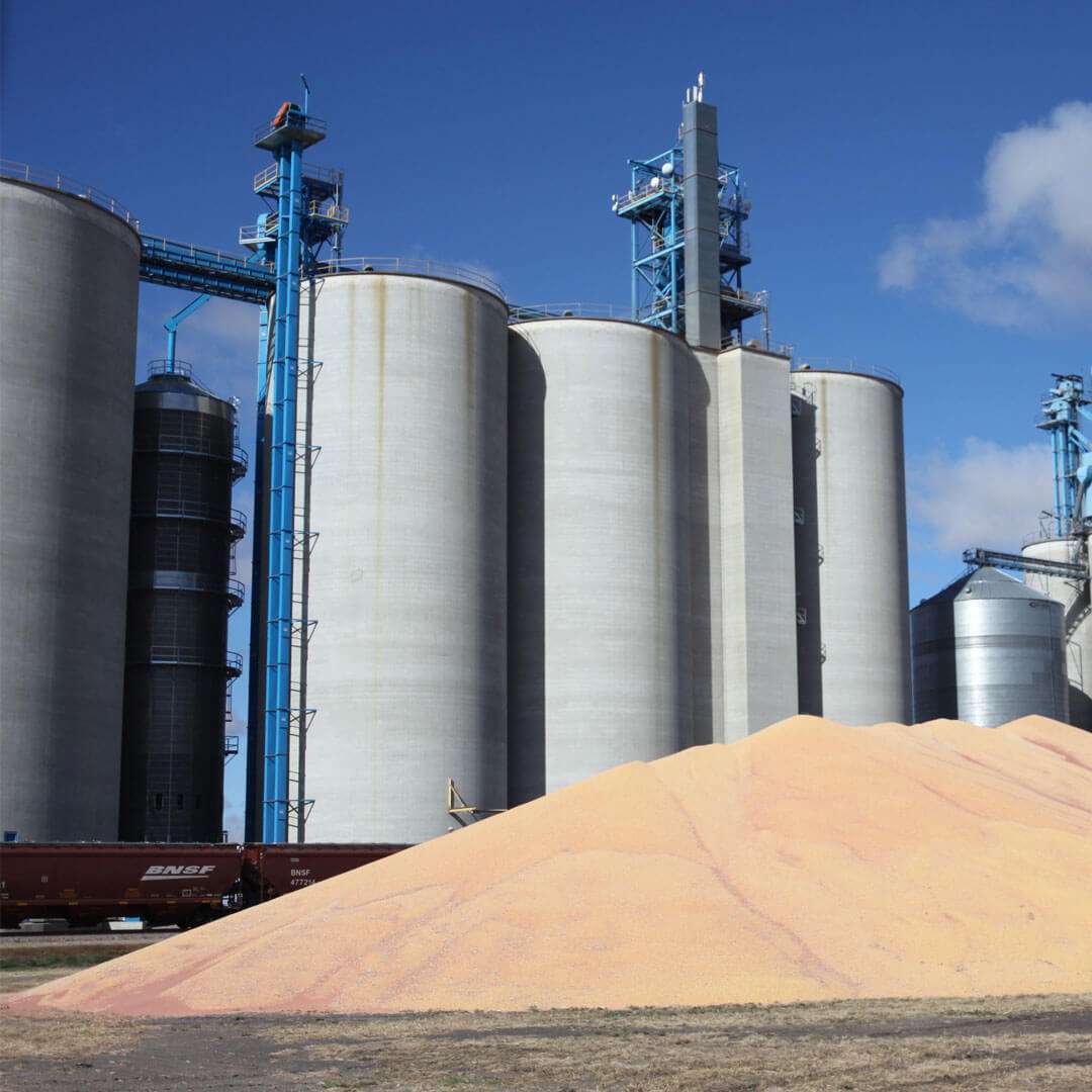 Modern Grain Handling